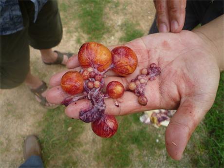 �����ں���ʡ�I���h���u�������gָ�����D�V�W��