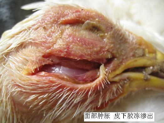 ���ʕr��ԓ��ʲô��λ��ʲô��λ�l(f��)��ʲô����